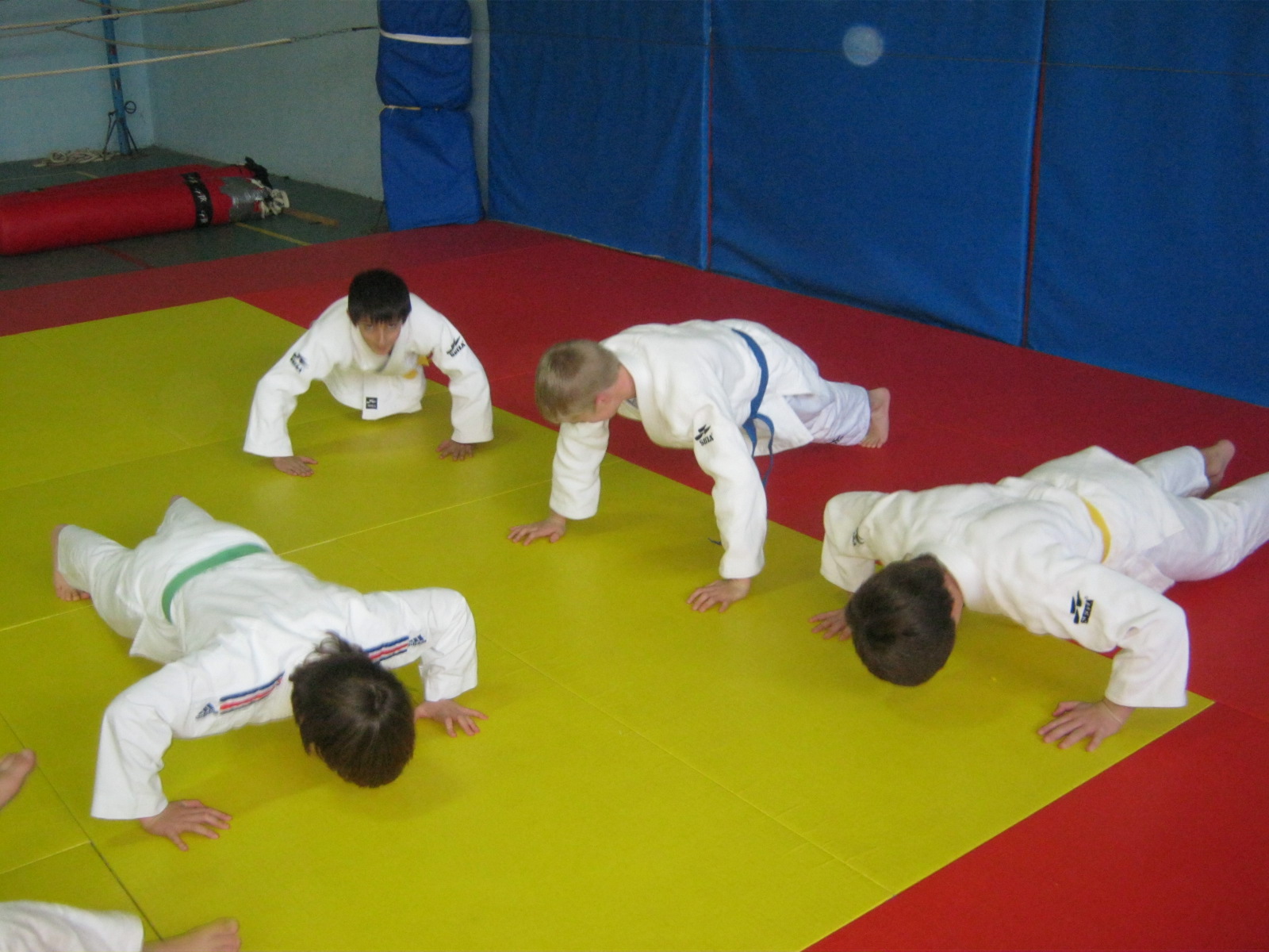 judo 4.jpg