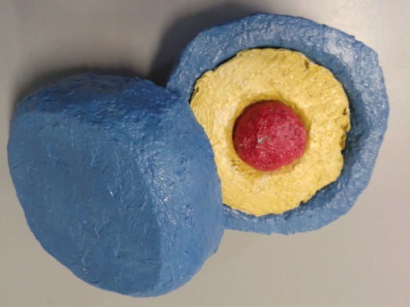 Fabriquer Une Maquette De Cellule En 3d