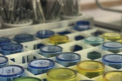 Réfectoire - Cantine