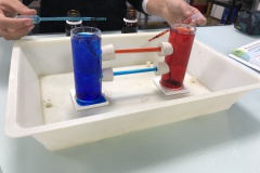 SVT - TP : Circuits océaniques