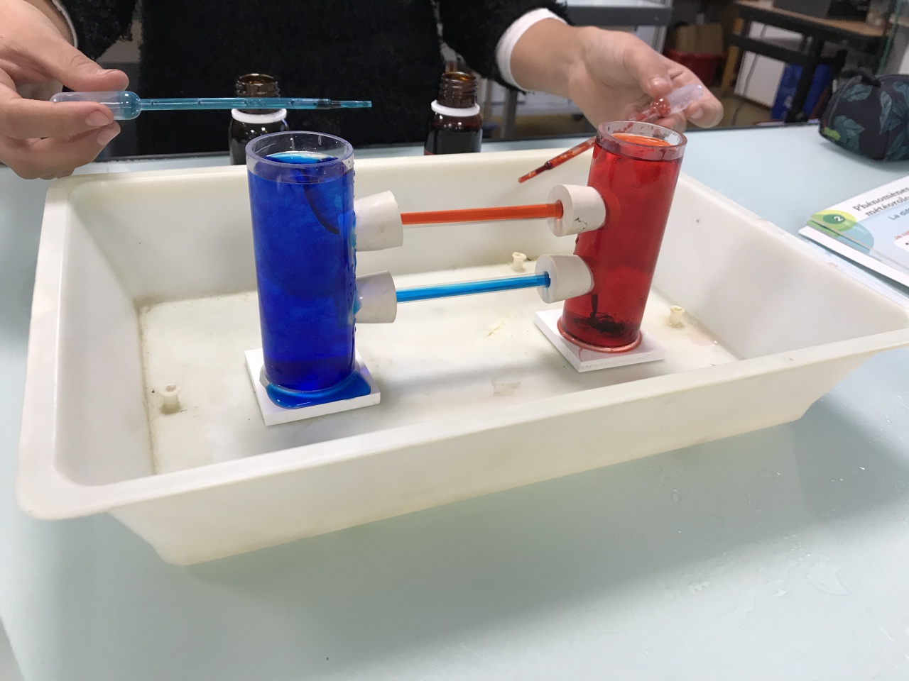 SVT - TP : Circuits océaniques