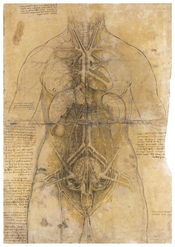 1490,« b[Appareil vasculaire]b ». Léonard de Vinci. Crayon et encre.28,5 x 19 cm.Windsor, Royal Library.