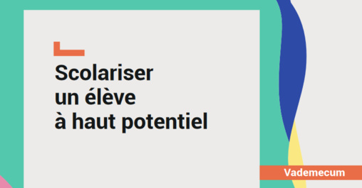 EHP élèves à haut potentiel (ex-"EIP élèves intellectuellement précoces") EHP élèves à haut potentiel (ex-"EIP élèves intellectuellement précoces")