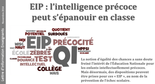 EHP élèves à haut potentiel (ex-"EIP élèves intellectuellement précoces") EHP élèves à haut potentiel (ex-"EIP élèves intellectuellement précoces")