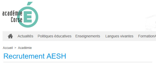 AESH / AVS / Accompagnants des Elèves en Situation de Handicap AESH / AVS / Accompagnants des Elèves en Situation de Handicap