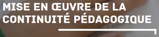 Continuité pédagogique : accompagner Continuité pédagogique : accompagner