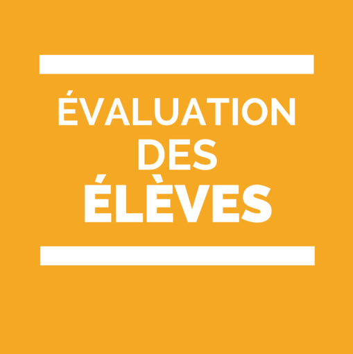 Accompagnement et formation des étudiants fonctionnaires stagiaires (EFS) Accompagnement et formation des étudiants fonctionnaires stagiaires (EFS)