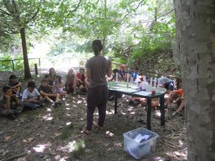 "Journée de l'énergie" organisée par l'APIEU le 17 juin 2011 "Journée de l'énergie" organisée par l'APIEU le 17 juin 2011