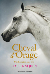 LE LIVRE DE LA SEMAINE : Cheval d’orage (roman)