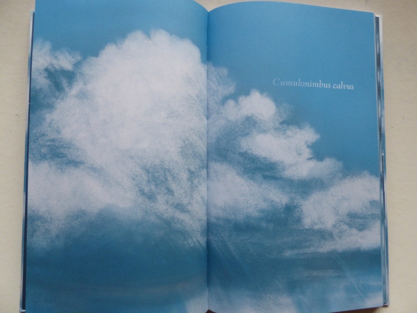 LE LIVRE DE LA SEMAINE : Atlas des nuages (Doc)