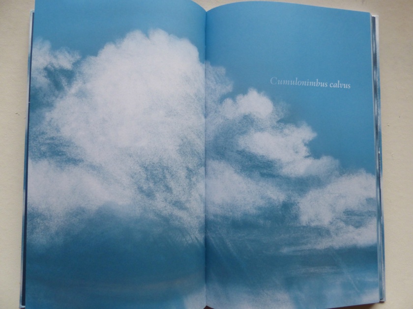 LE LIVRE DE LA SEMAINE : Atlas des nuages (Doc) LE LIVRE DE LA SEMAINE : Atlas des nuages (Doc)