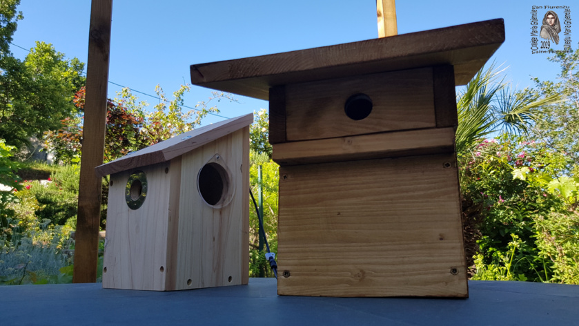 eNest | Le nichoir connecté eNest | Le nichoir connecté