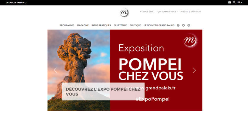 Musée du Grand Palais | Visite Musée du Grand Palais | Visite