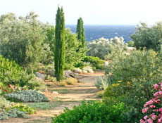 GranAgora 2021 | Troc de graines GranAgora 2021 | Troc de graines