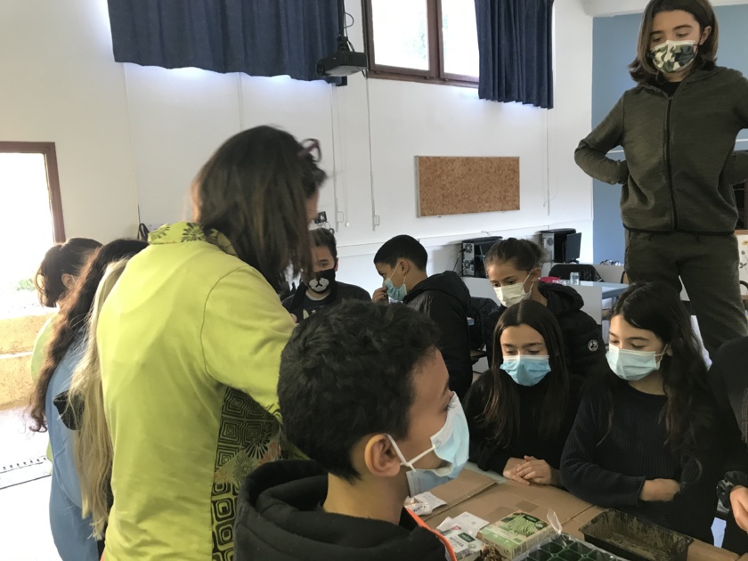 Projet Développement Durable Collège de Saint Florent Projet Développement Durable Collège de Saint Florent