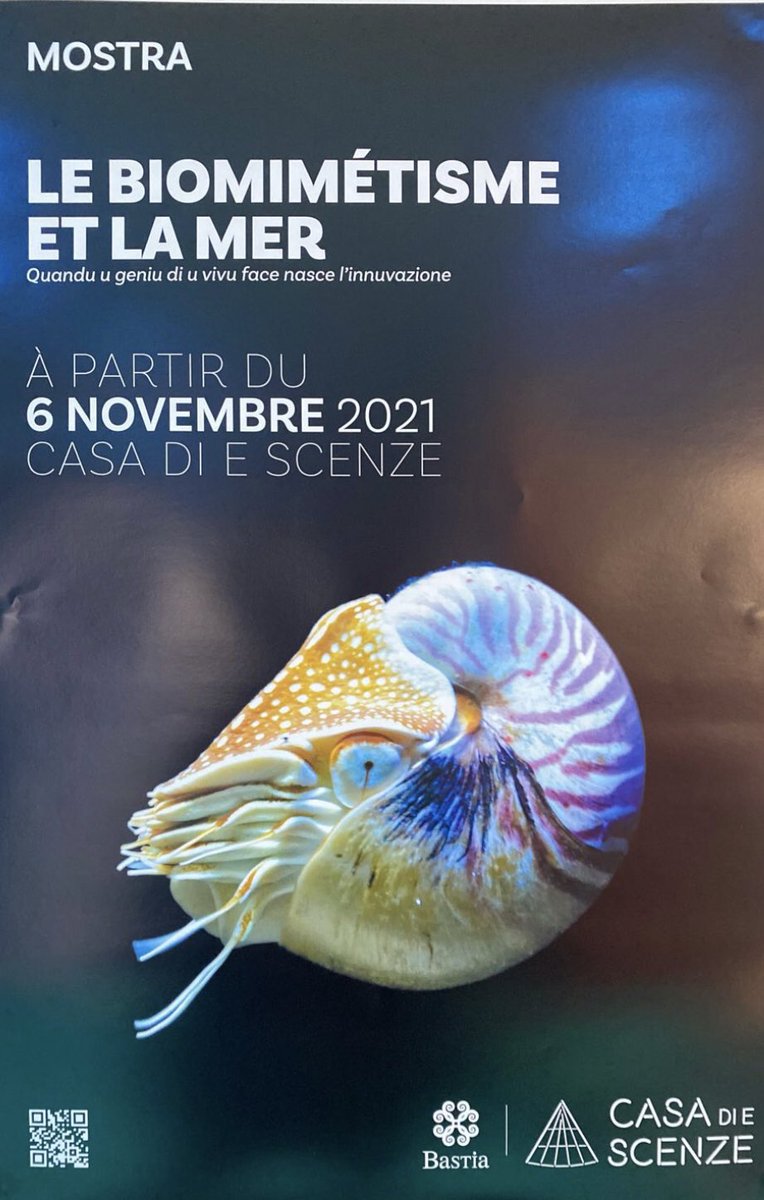 Le Biomimétisme s'expose à A Casa di e scenze di Bastia