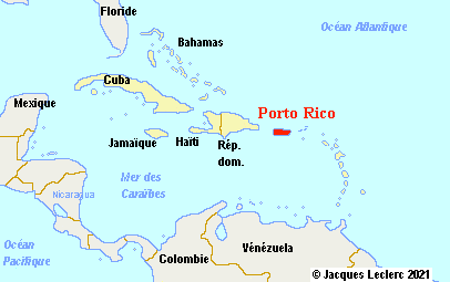 Clin d’œil - Les corses de Porto-Rico
