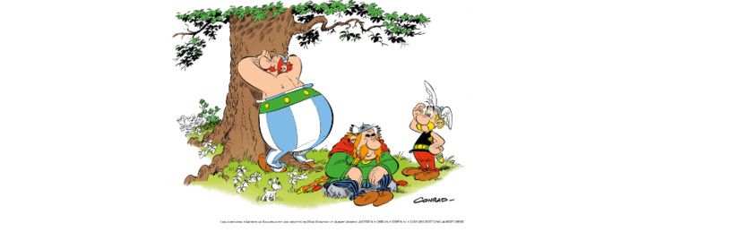 Astérix - L'Iris blanc - n°40 Astérix - L'Iris blanc - n°40