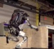 Robotique : Parkour Atlas