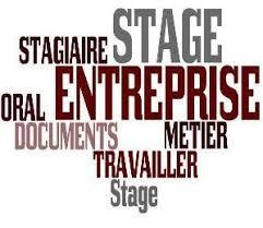 Préparation du stage en entreprise