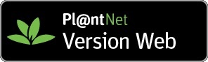Pl@ntNet