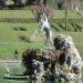 Italie 2013 (14)
