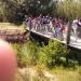Biguglia 2013 (9)