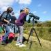 Biguglia 2013 (18)