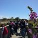 Biguglia 2013 (35)