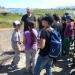 Biguglia 2013 (66)