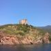 scandola-juin 2013 (23)