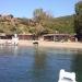 scandola-juin 2013 (26)