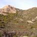 Ostriconi janvier 2014 (7)