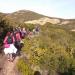 Ostriconi janvier 2014 (2)