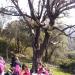 Ostriconi janvier 2014 (11)