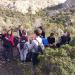 Ostriconi janvier 2014 (15)