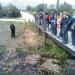 ETANG DE BIGUGLIA 2014 (43)