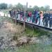 ETANG DE BIGUGLIA 2014 (45)