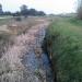 ETANG DE BIGUGLIA 2014 (48)