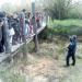 ETANG DE BIGUGLIA 2014 (50)