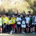 cross 10-12-14 (60)
