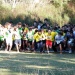cross 10-12-14 (66)