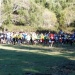 cross 10-12-14 (71)