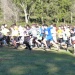 cross 10-12-14 (79)