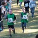 cross 10-12-14 (118)