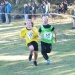 cross 10-12-14 (123)