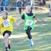 cross 10-12-14 (125)