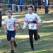 cross 10-12-14 (126)