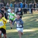 cross 10-12-14 (128)