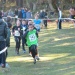 cross 10-12-14 (138)